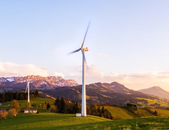 Eco-fashion line launched by Halden and Dovale