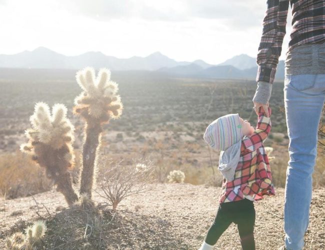 Genetic link in surrogacy: vital info in United States