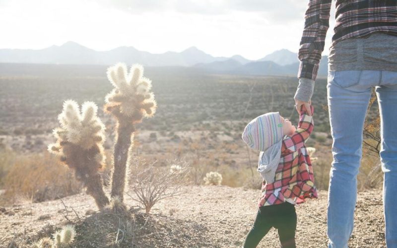 Genetic link in surrogacy: vital info in United States